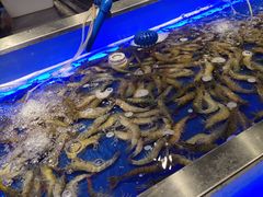 水产区-SEA西雅图海鲜自助餐厅(正义店)