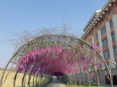 -嘉兴清池酒店温泉