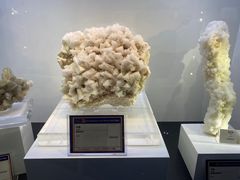 -中国地质大学逸夫博物馆
