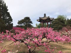 -北京植物园-展览温室