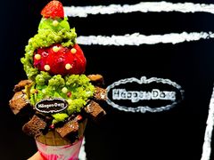 -哈根达斯(虹口店)