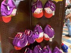 -史努比缤纷世界