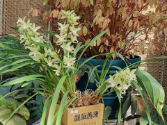 -北京植物园-展览温室