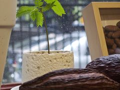 -SANYAY叁言咖啡巧克力