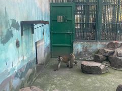 -无锡动物园·太湖欢乐园