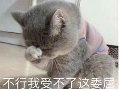 -环球雅思·托福·ALevel·OSSD·DSE·留学英语培训学校(体育西校区)