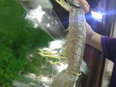 -真浪大家乐海鲜餐馆
