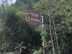-明仕田园
