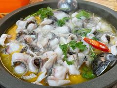 -大鼎石锅鱼(春江里店)