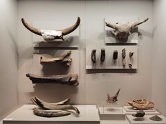 -齐齐哈尔市博物馆