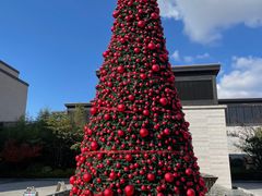 -上海崇明金茂凯悦酒店