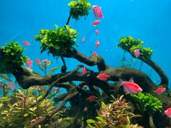 -海合安武汉极地海洋公园