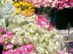 -循礼门鲜花花市(武汉循礼门店)