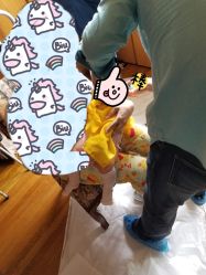 -龙文宝贝上门婴儿理发满月剃胎毛(总店)