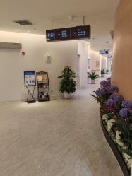 -天津伊美尔医疗整形美容专科医院