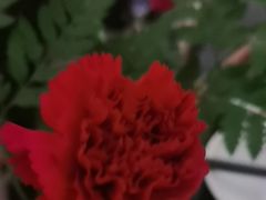 -瑶王府·广西菜(金阳路店)