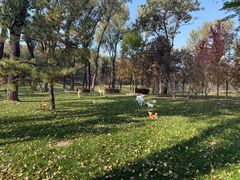 -北京宽沟会议中心