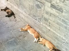 -万寿八仙宫