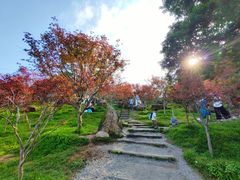 -广州市帽峰山景区