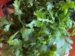 -捞王猪肚鸡火锅(昆山店)