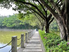 -西樵山风景名胜区-天湖公园