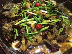 -老板恋上鱼(环山路店)