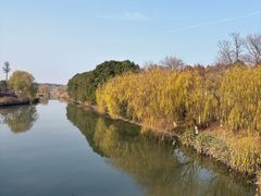 -江滩湿地公园