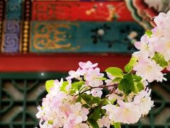 -海棠花溪(元大都城垣遗址公园)