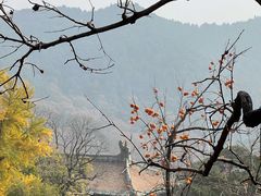 -潭柘寺景区