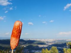 -北京西山国家森林公园