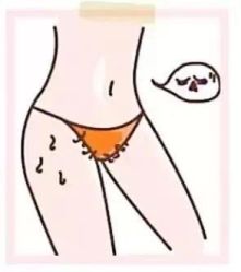 -薇兰专业脱毛连锁机构