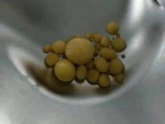 -美联众合宠物医院·爱萌分院·内外科·猫科中心