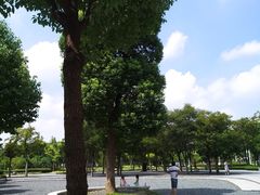 -南翔镇银翔湖公园