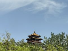 -莲花池公园