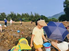 -坝光海滩