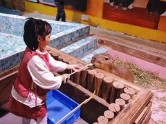 -顺德南宏海立方海洋公园