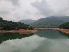 -东莞市大岭山森林公园