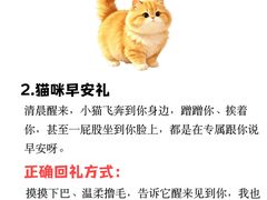 -瑞鹏宠物医院·骨外科·心肾科·肿瘤科(九亭店)