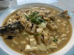 -煲来饱去冷水鱼