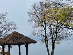 -千岛湖希尔顿休闲艇俱乐部