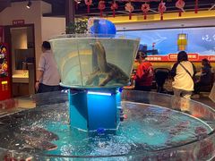 -魏铭鱼头捞饭(晋阳路店)