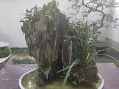 -成都杜甫草堂博物馆