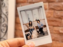 -喜柴咖啡·柴犬狗咖