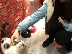 -AOE 火焰 剧本密室狼人杀