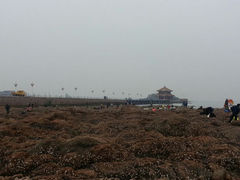 android_upload_pic-栈桥景区