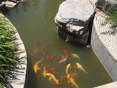 -武清南湖绿博园