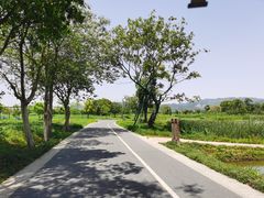 -良渚古城遗址公园