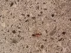 -季季红火锅(长沙步行街店)