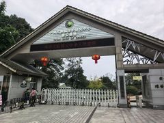 -中国大熊猫保护研究中心雅安碧峰峡基地