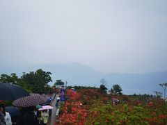 -瑞安圣井山景区